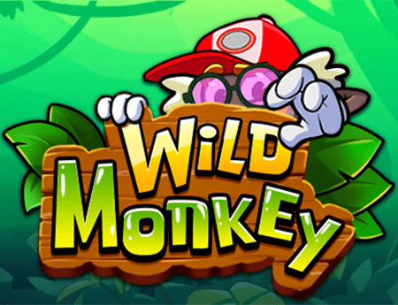 Wild Monkey