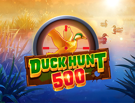 Duck Hunt 500