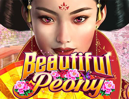 Beautiful Peony