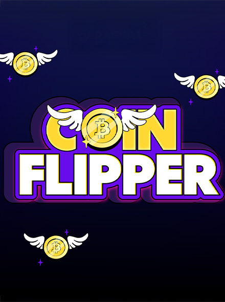 Coin Flipper