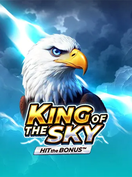King of the Sky: Hit the Bonus™